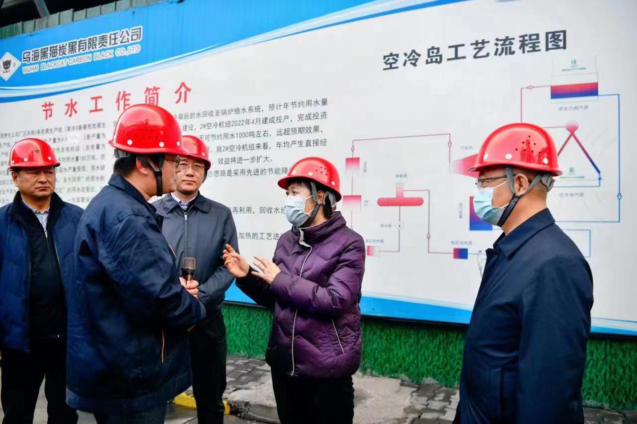 崔景英一行蒞臨烏海黑貓調(diào)研指導(dǎo) (1).jpg 崔景英一行蒞臨烏海黑貓調(diào)研指導(dǎo) (1).jpg