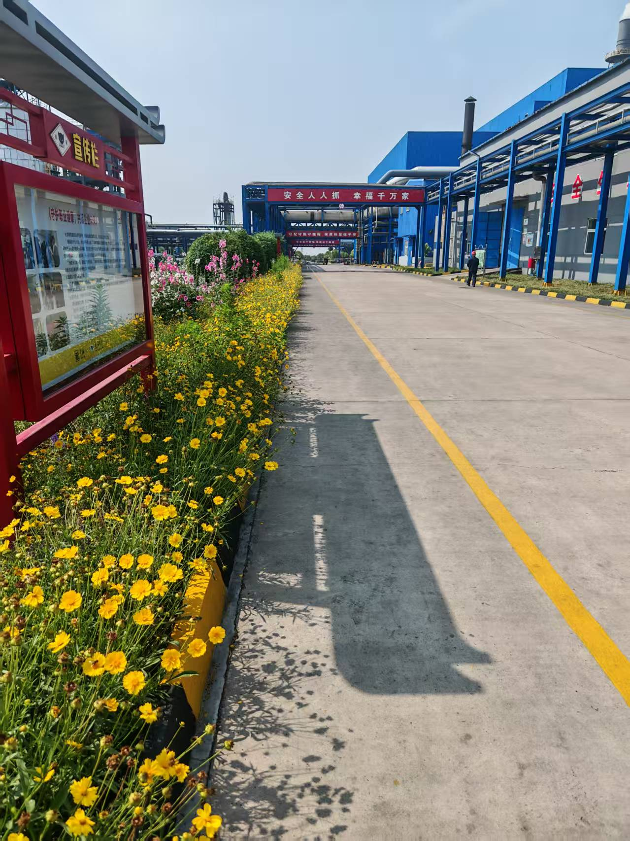 邯鄲黑貓5.png 邯鄲黑貓5.png