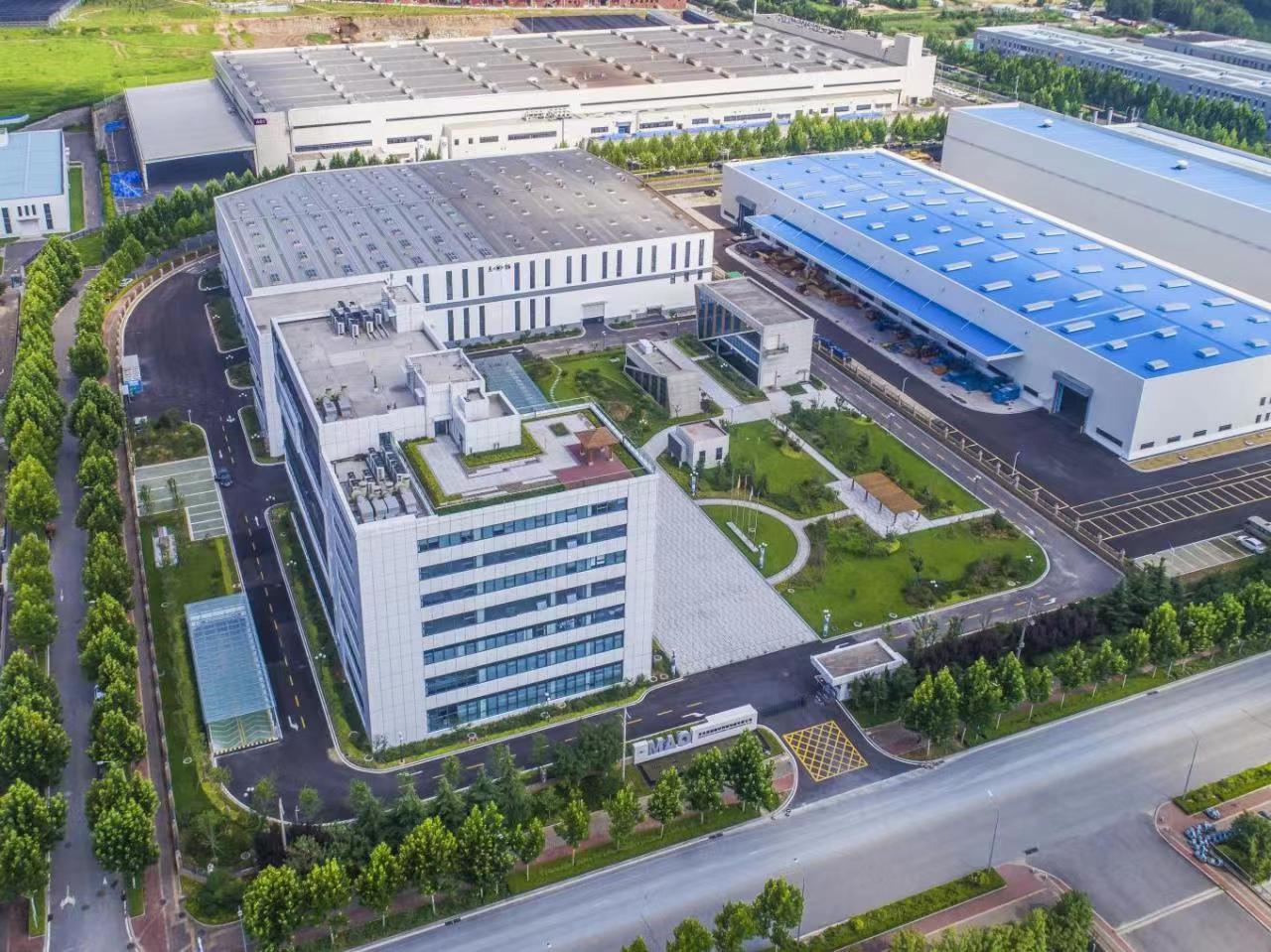 青島黑貓 (2).jpg