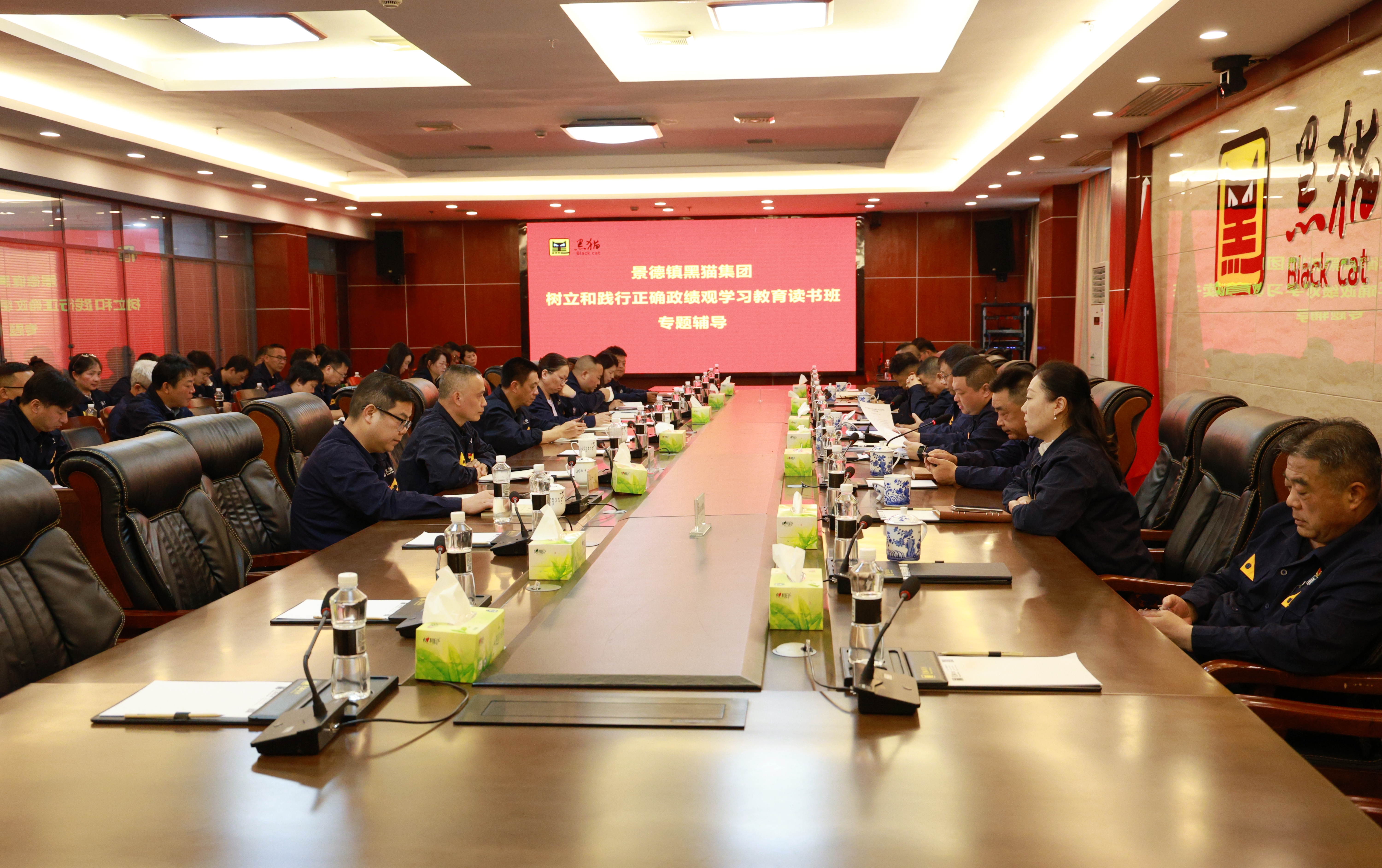 黑貓集團(tuán)樹立和踐行正確政績(jī)觀學(xué)習(xí)教育讀書班舉行