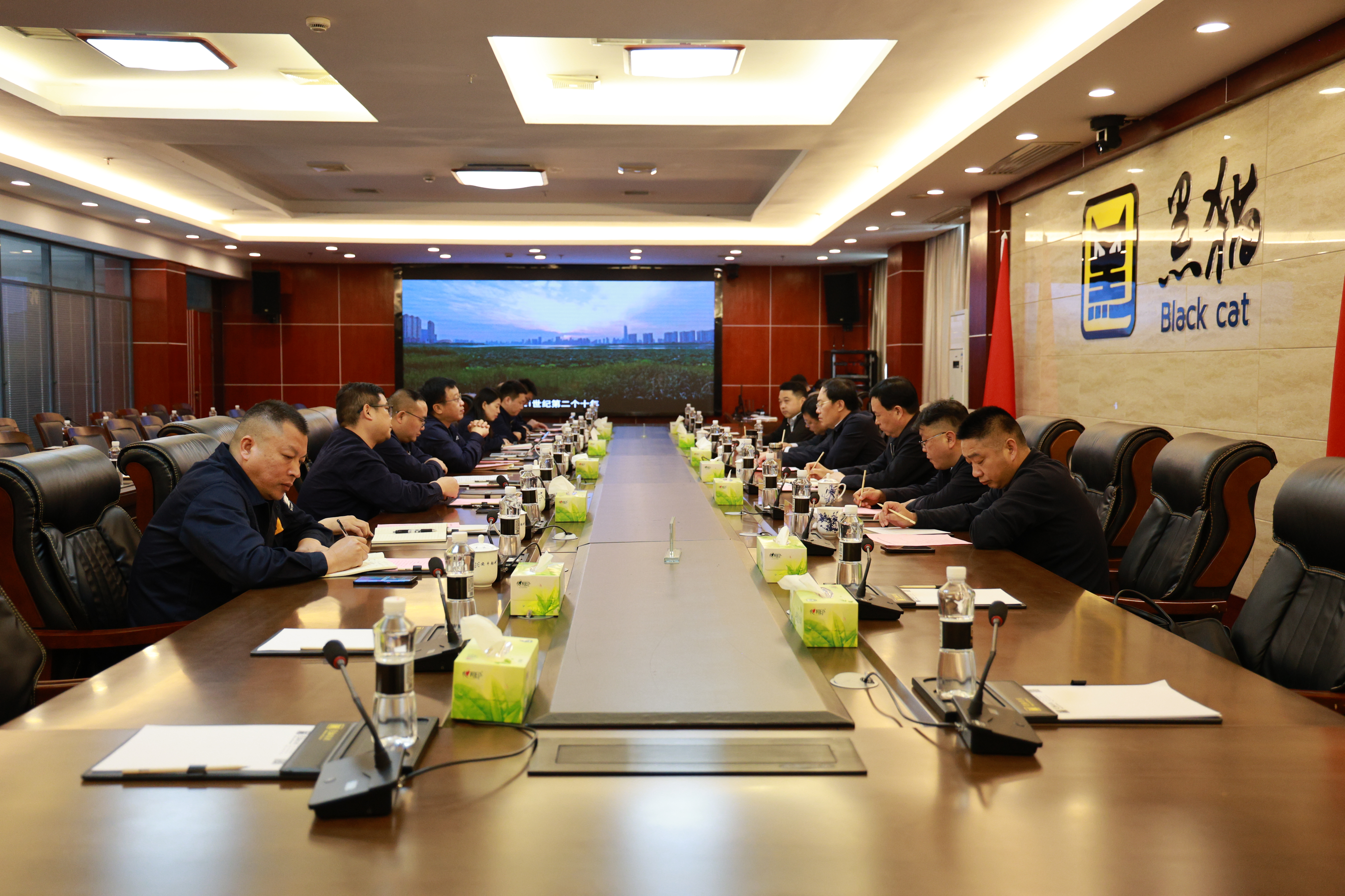 駐馬店市考察團(tuán)到黑貓集團(tuán)考察座談